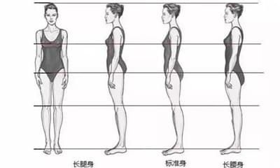 身材比例对比